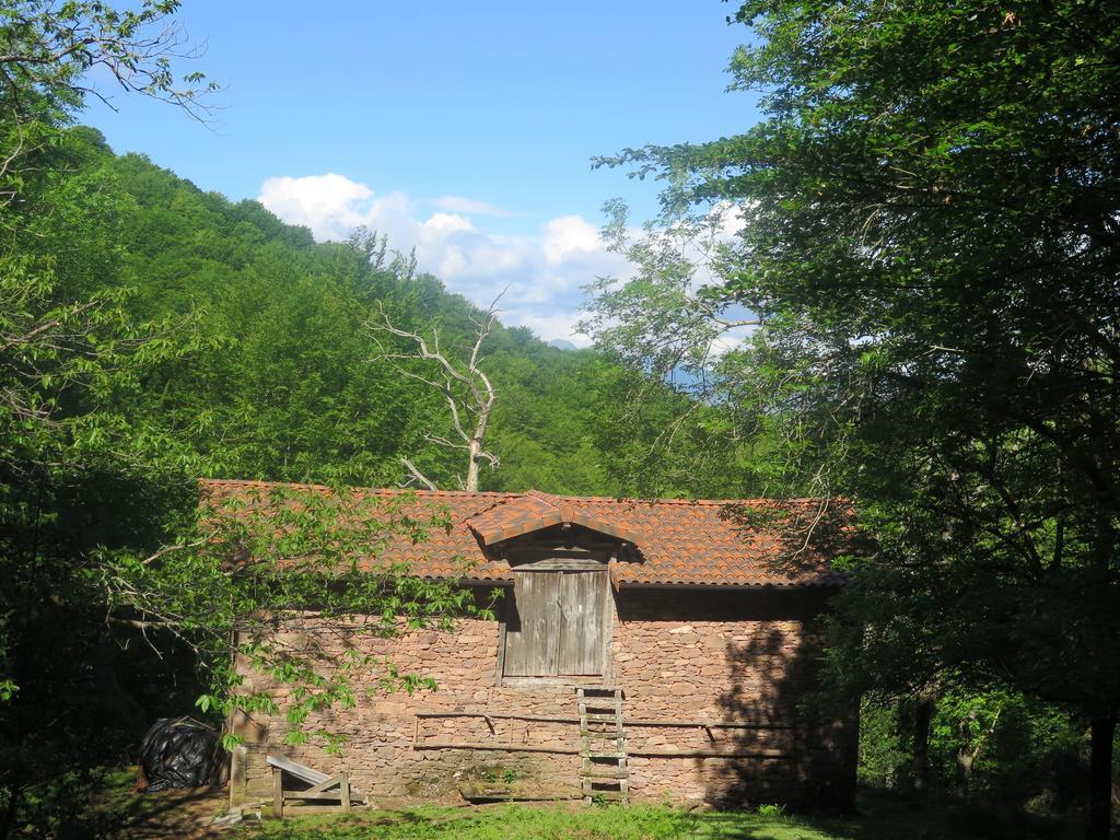 Casa Rural Urruska Elizondo Exterior photo